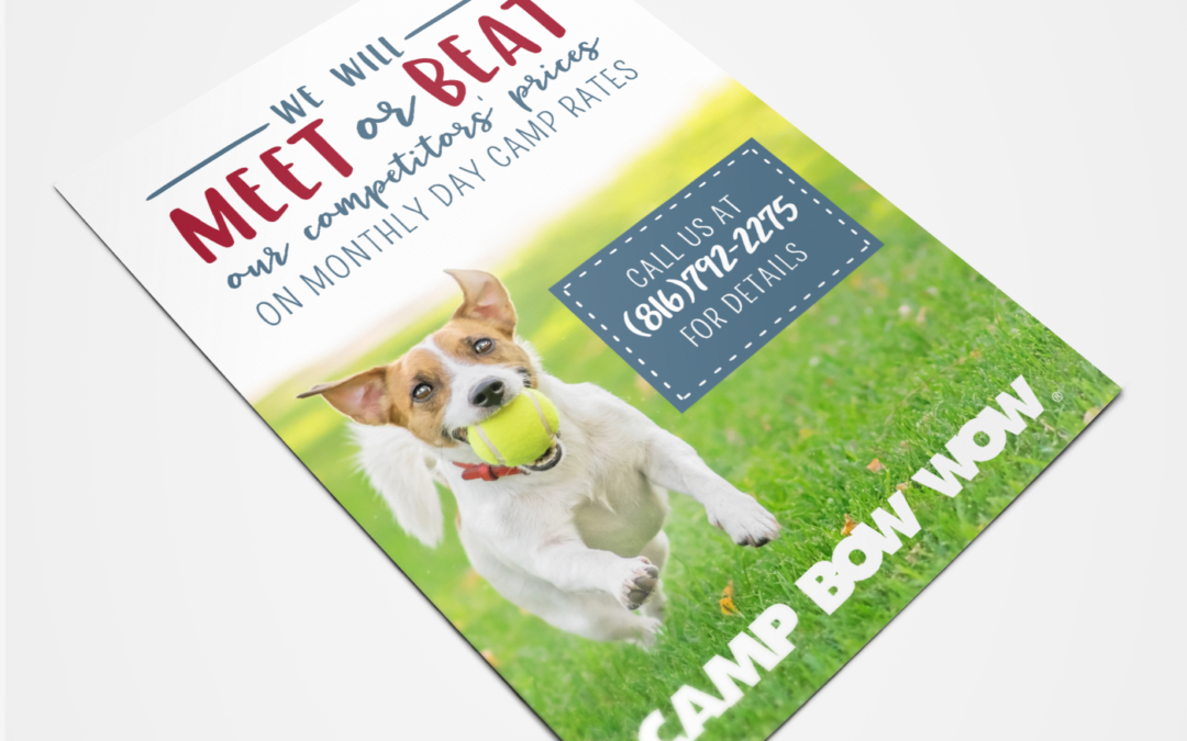 Camp Bow Wow Flyer